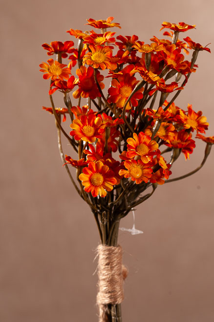F413-O Dry Daisy Bundle 27 cm oranžová